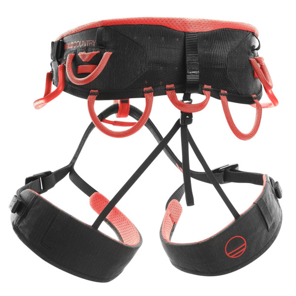 SYNCRO HARNESS